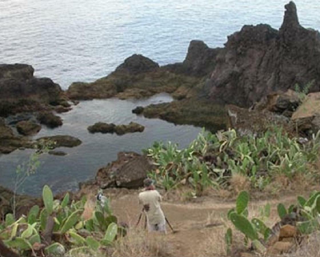Un Balcon Sur La Mer Funchal  Ngoại thất bức ảnh